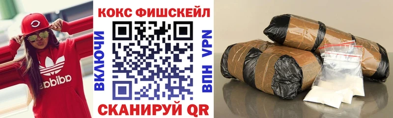 Cocaine FishScale  Купить где  Котовск 